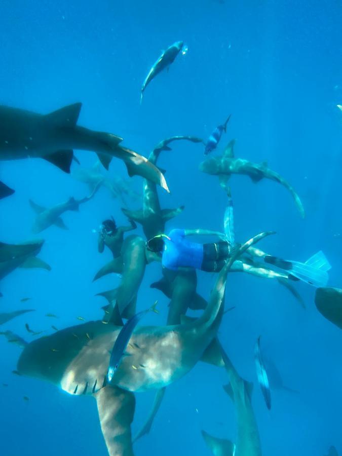 Reef Edge Thulusdhoo, Maldives Hotel Ngoại thất bức ảnh